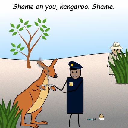 Kangaroos by Pipanni